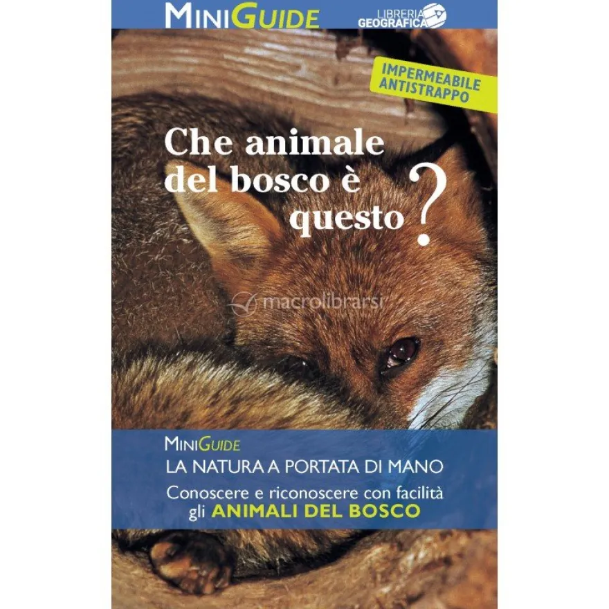 Chi è Questo Animale del Bosco?