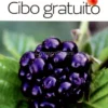 Cibo Gratuito - Guida Pratica e Illustrata a oltre 100 Doni della Natura