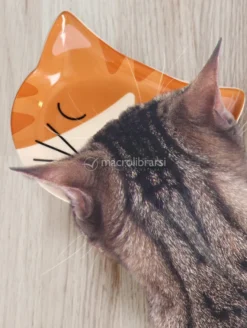 Ciotola per Gatto in Ceramica - Ginger