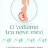 Ci Vediamo tra Nove Mesi