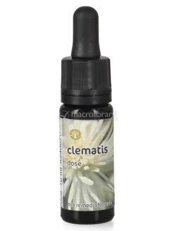 Clematis - Dose