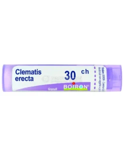 Clematis Erecta Boiron 30CH Granuli