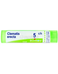 Clematis Erecta Boiron 5CH Granuli