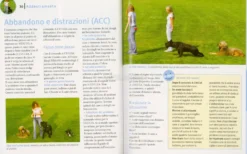 Clicker Training con il Cane