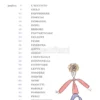 Codice Rodari