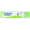 Collinsonia Canadensis Boiron 5CH Granuli