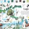 Colori degli Habitat