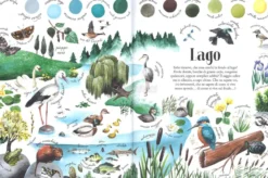 Colori degli Habitat