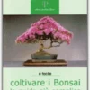 Coltivare i Bonsai