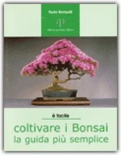Coltivare i Bonsai