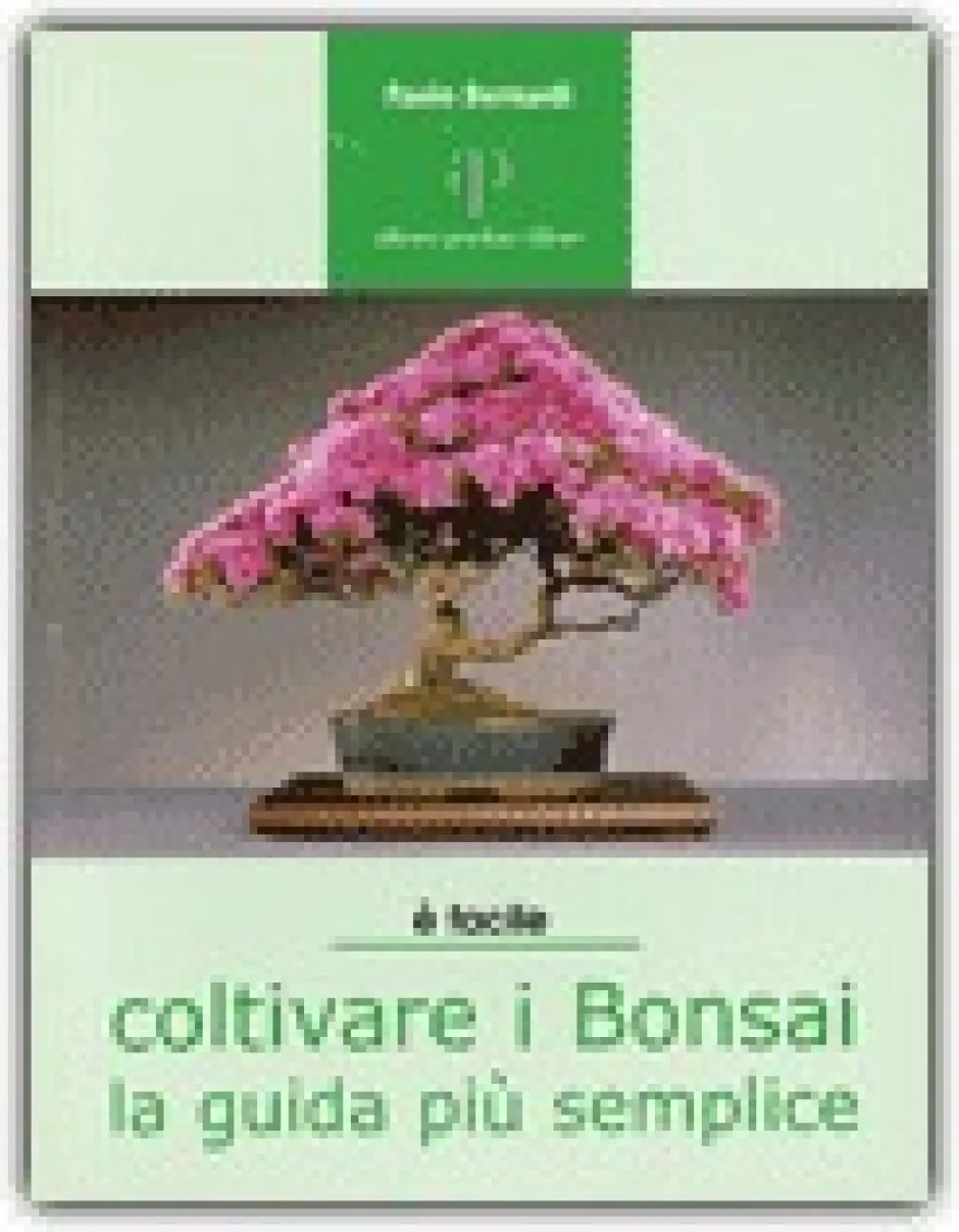 Coltivare i Bonsai