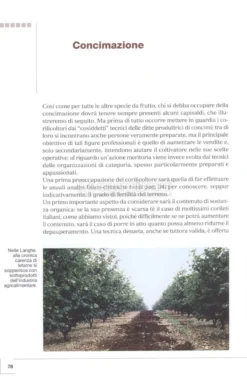 Coltivare il Nocciolo