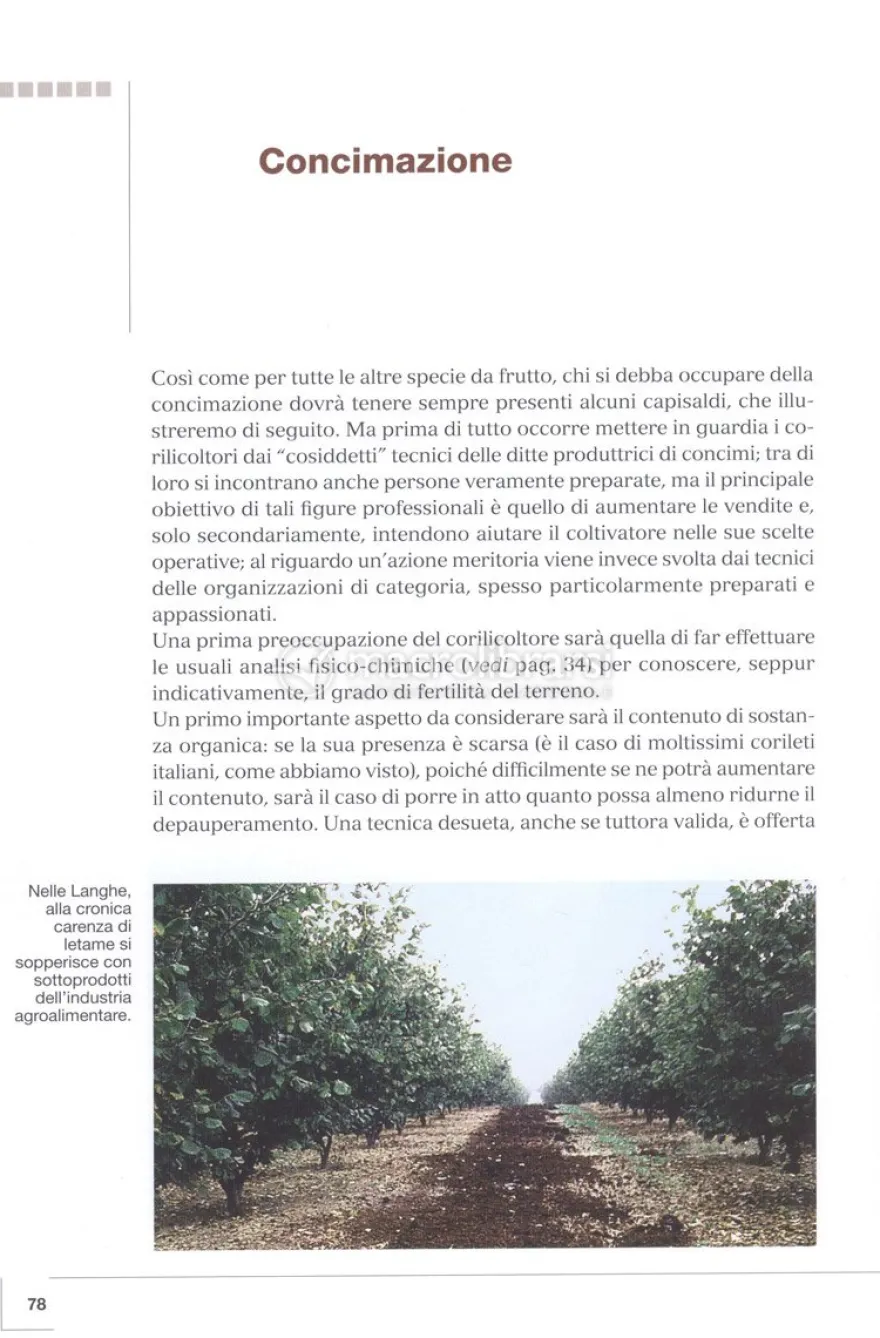 Coltivare il Nocciolo