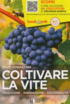 Coltivare la Vite