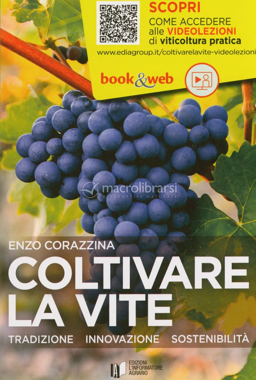 Coltivare la Vite