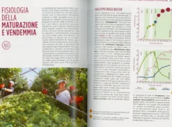 Coltivare la Vite