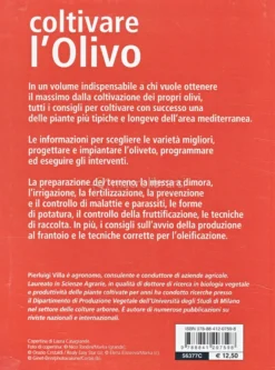 Coltivare l'Olivo
