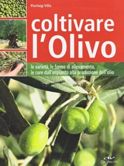 Coltivare l'Olivo