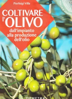 Coltivare l'Olivo - Dall'Impianto alla Produzione dell'Olio