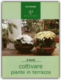 Coltivare Piante in Terrazza