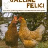 Come Allevare Galline Felici