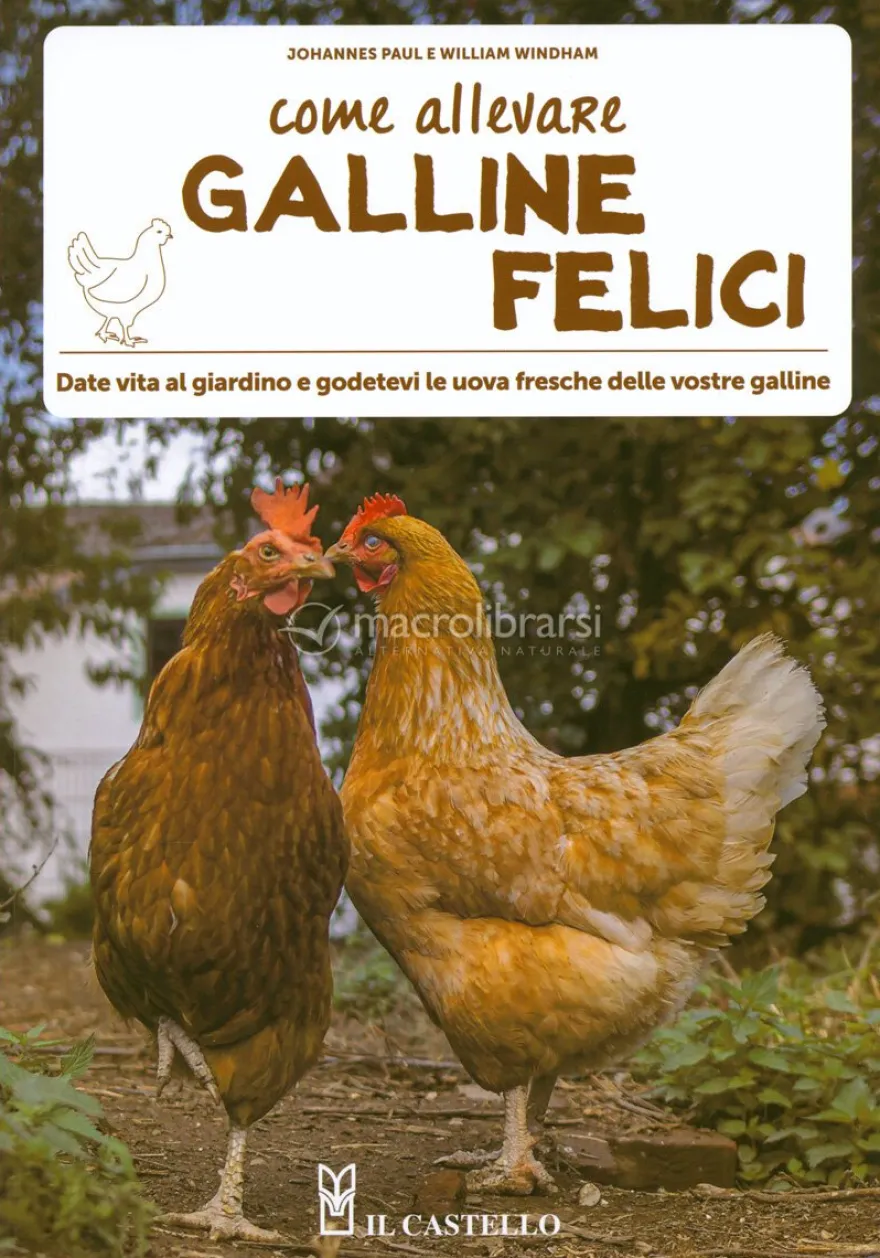 Come Allevare Galline Felici