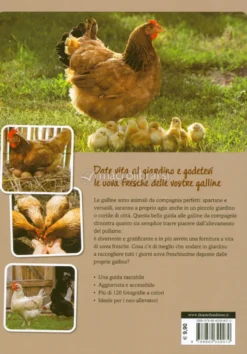 Come Allevare Galline Felici