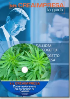 Come Avviare una Coltivazione di Canapa