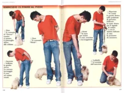 Come Capire e Addestrare il tuo Cane
