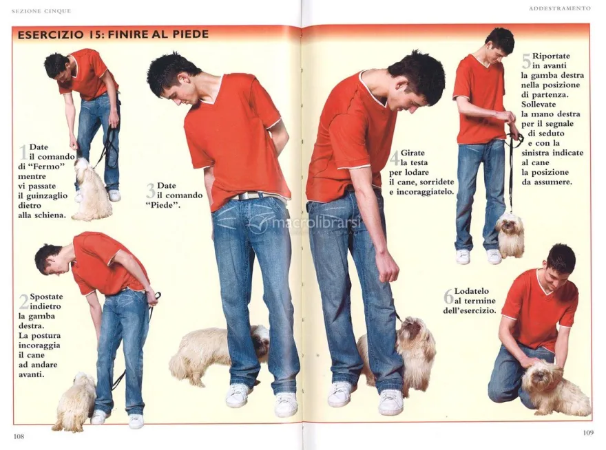 Come Capire e Addestrare il tuo Cane