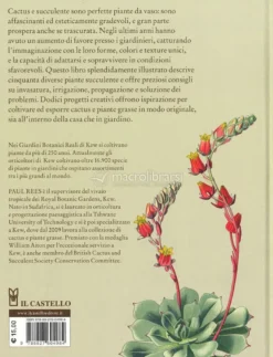 Come Coltivare Cactus e Succulente