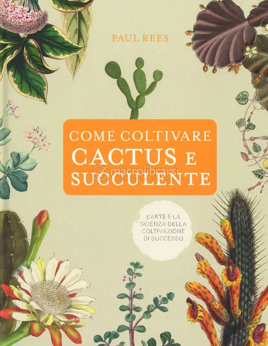 Come Coltivare Cactus e Succulente