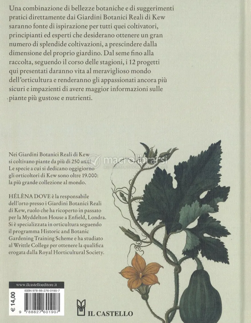 Come Coltivare gli Ortaggi