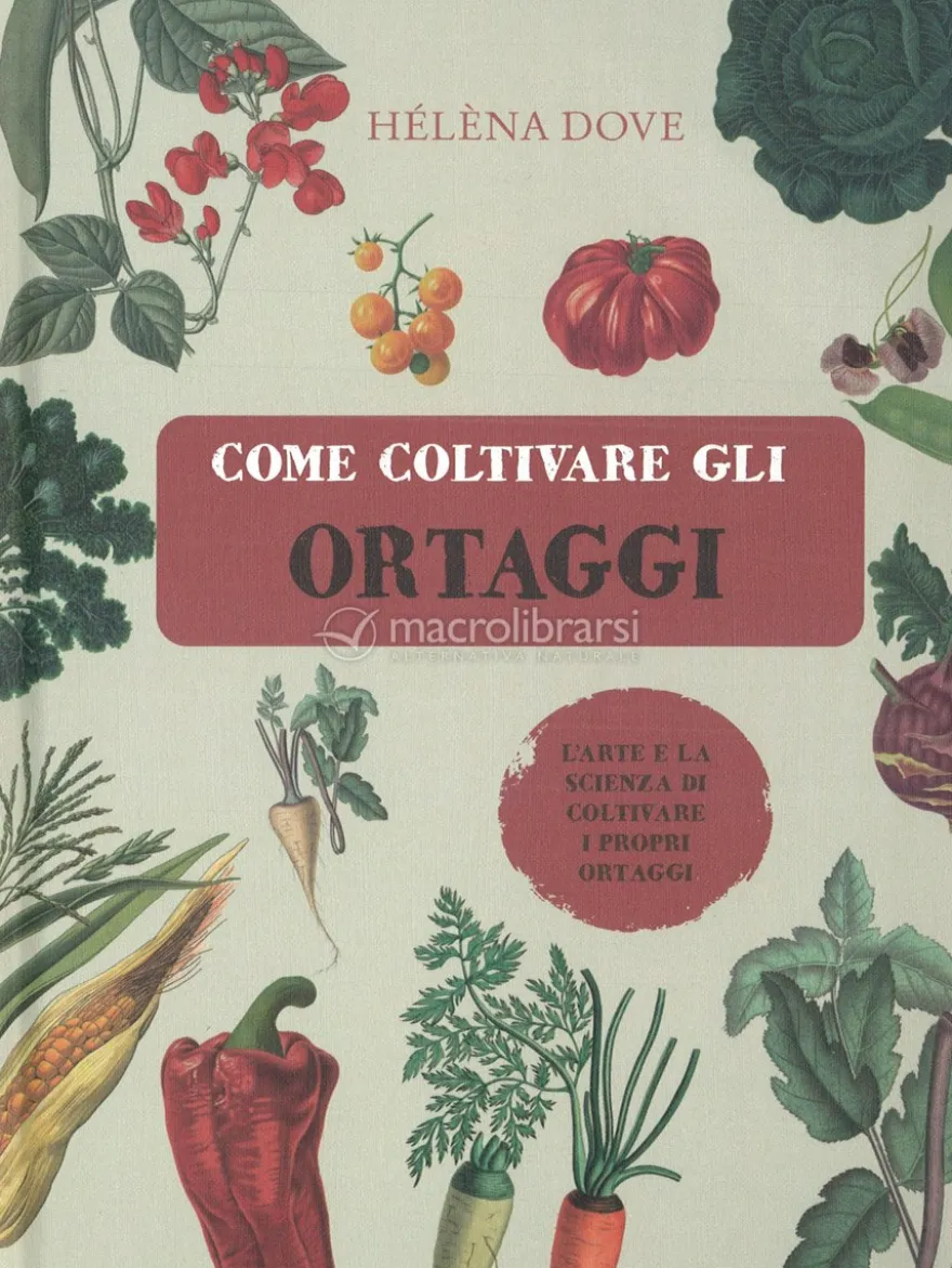 Come Coltivare gli Ortaggi