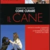 Come Curare il Cane