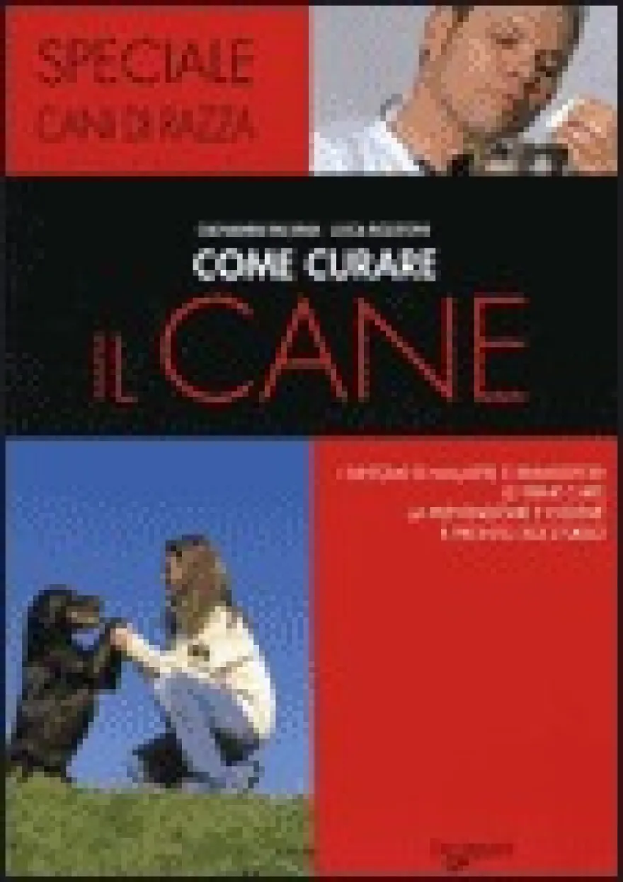 Come Curare il Cane