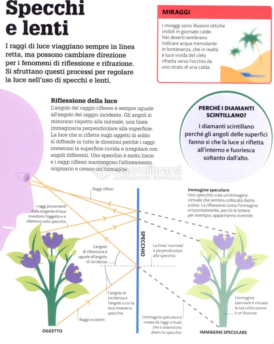 Come Funziona la Scienza