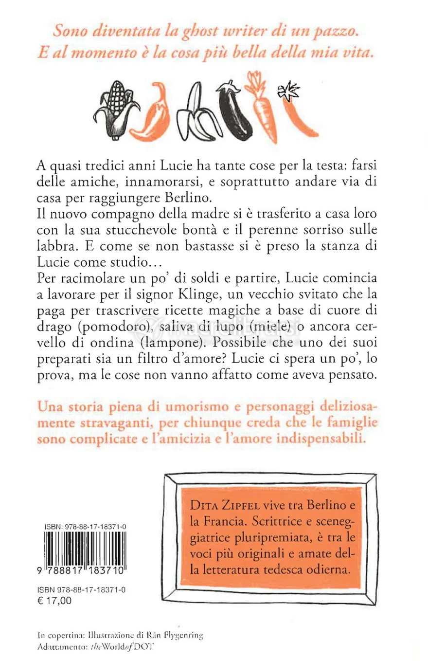 Come la Follia Mi Ha Spiegato il Mondo