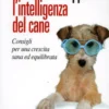 Come sviluppare l'Intelligenza del Cane