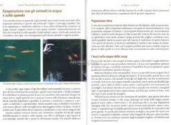Come Trasformare il Deserto in Paradiso