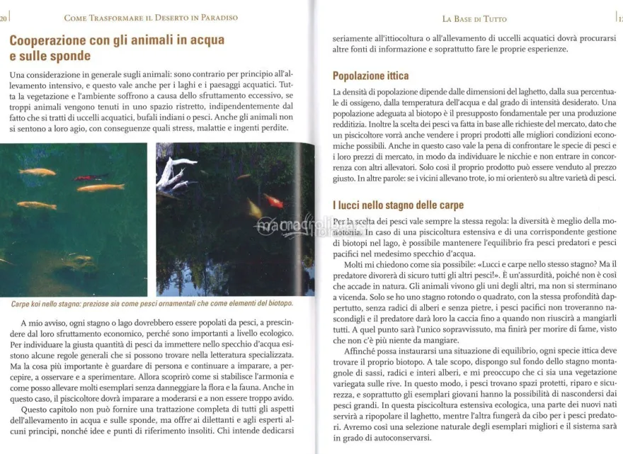 Come Trasformare il Deserto in Paradiso