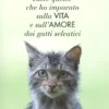 Come un Gatto