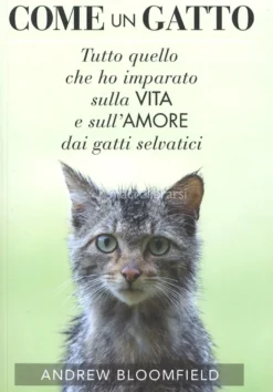 Come un Gatto