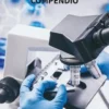 Compendio