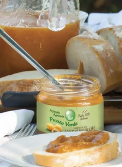 Composta 100% Albicocche Bio