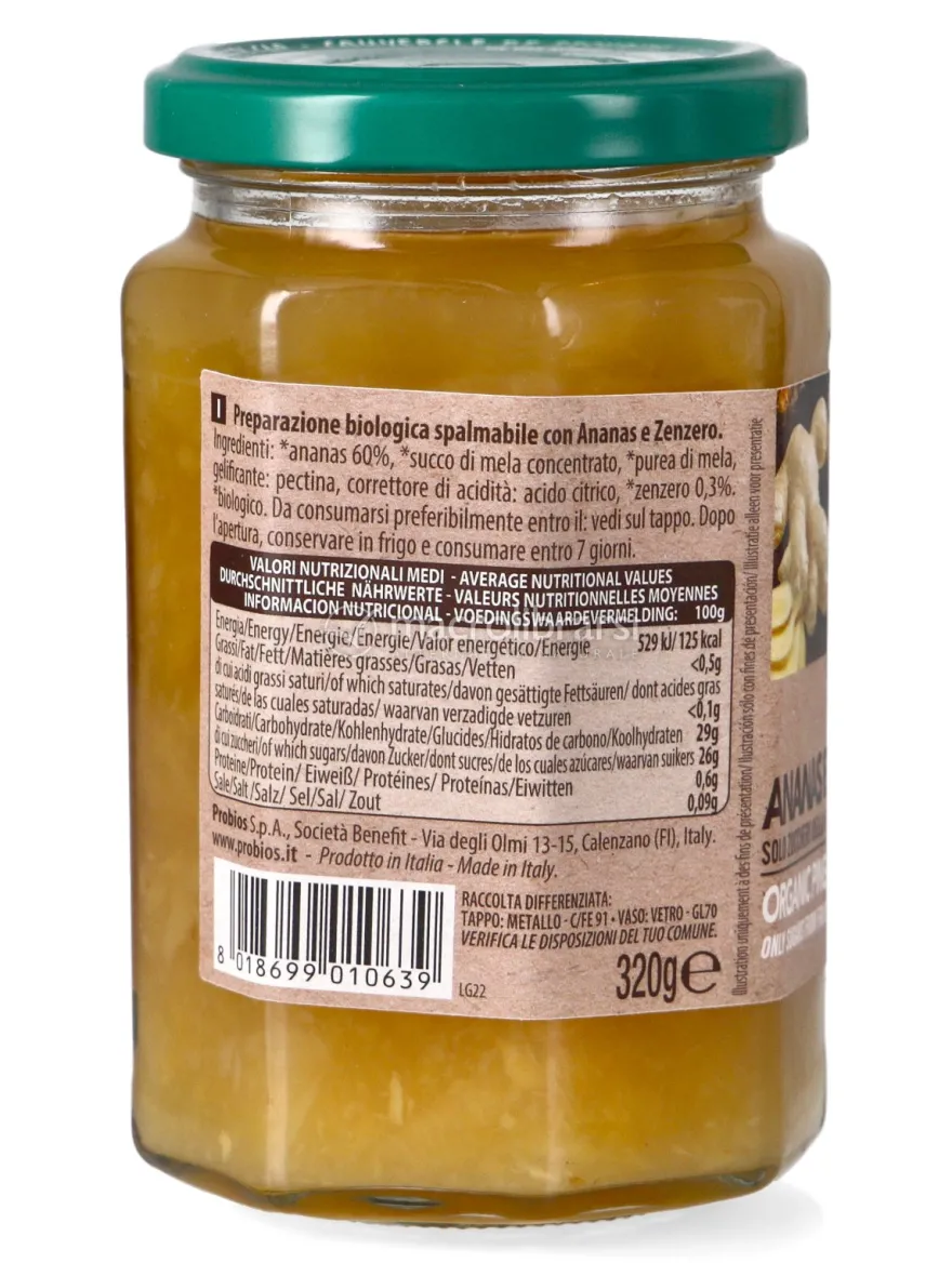 Composta Biologica di Ananas e Zenzero