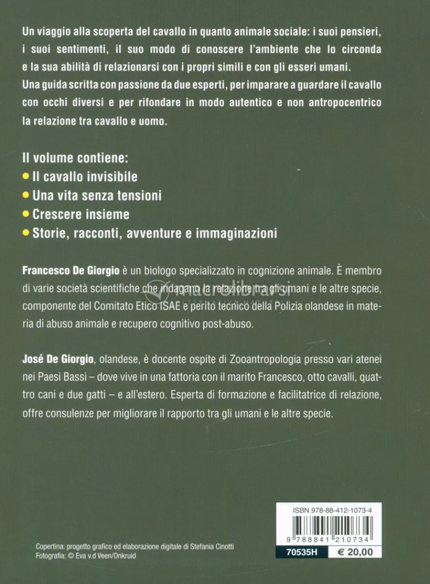 Comprendere il Cavallo