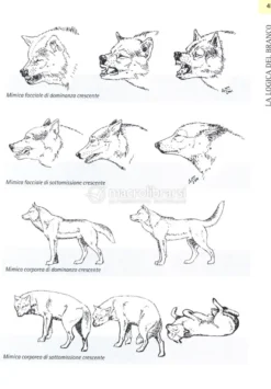 Comprendere il Linguaggio del Cane