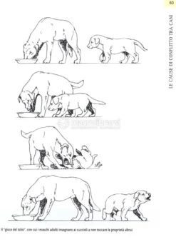 Comprendere il Linguaggio del Cane