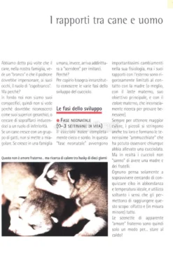 Comprendere il Linguaggio del Cane